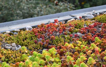 the cost of Aisgernis green roof installation
