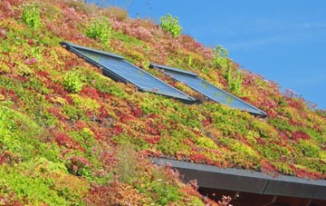 Aisgernis living roof systems