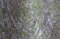 Aisgernis fibreglass roof work